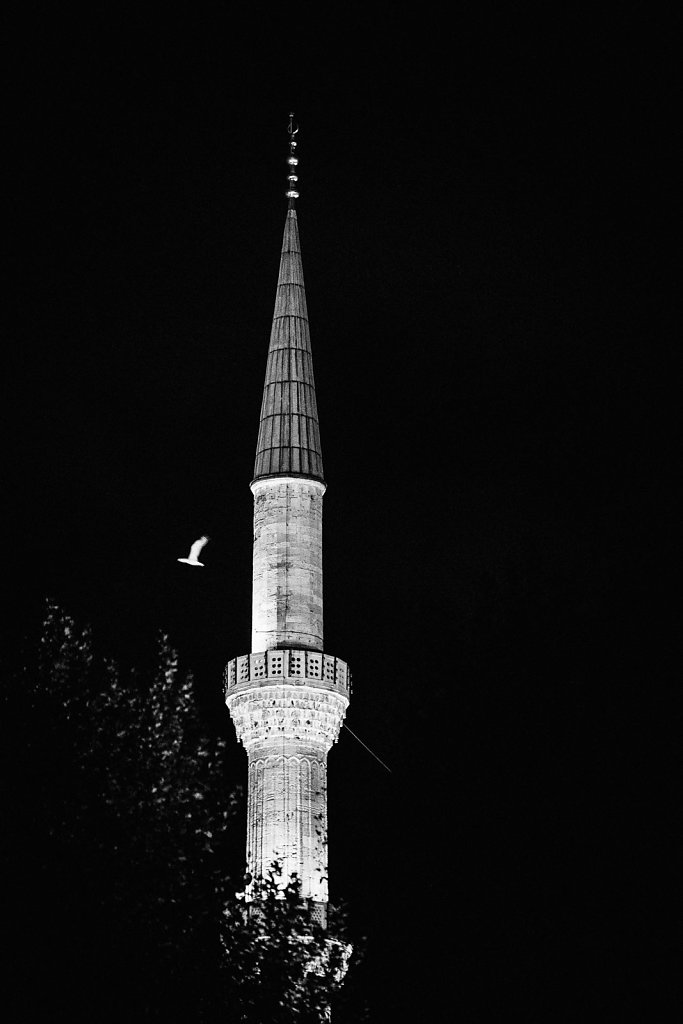 FabianFiechter-MOSCHEE-15.jpg